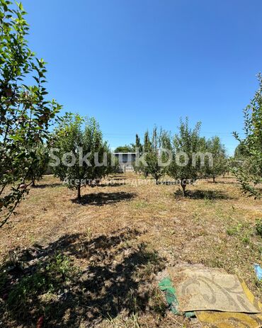 Продажа домов: Дом, 100 м², 3 комнаты, Агентство недвижимости — 7