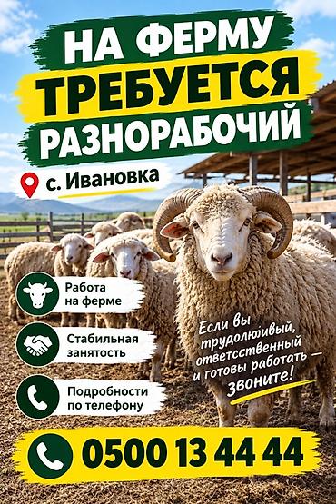 работа для строителей: Вакансия: разнорабочий на ферму (с. Ивановка) Требуется семья с — 1