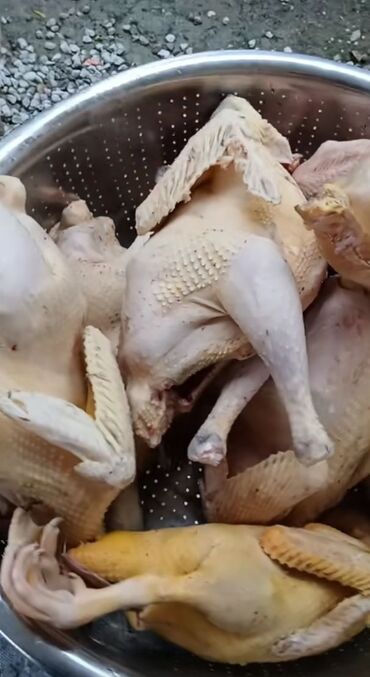 Quş: Məhsul: Təmizlənmiş kənd toyuqları (tam karkas) Təsvir: - Şəkillərdə — 4