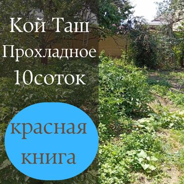 10 соток, Курулуш, Кызыл китеп, Техпаспорт, Сатып алуу-сатуу келишими