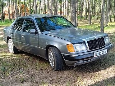 купить мерс с: Mercedes-Benz W124: 1992 г., 2 л, Механика, Бензин, Седан — 3