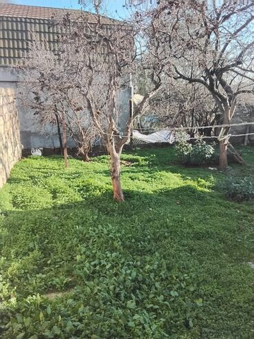 Həyət evləri və villaların satışı: M.Ə. Rəsulzadə qəs. 4 otaqlı, 70 kv. m, Təmirsiz -da lalafo.az — 5 Həyət evləri və villaların satışı: M.Ə. Rəsulzadə qəs. 4 otaqlı, 70 kv. m, Təmirsiz — 5