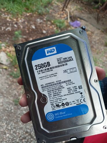 hdd 500: Маалымат алып жүрүүчү, HDD, 256 ГБ, ПК үчүн