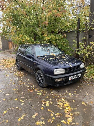 Volkswagen: Volkswagen Golf: 1993 г., 1.8 л, Механика, Бензин, Хэтчбэк