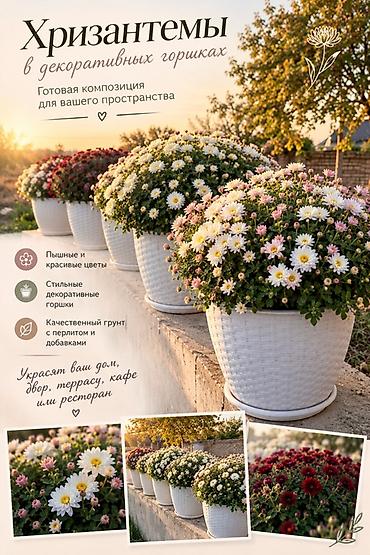 купить грунт для цветов оптом: Саженцы Самовывоз, Платная доставка — 1