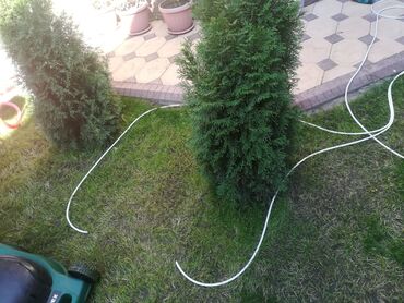 Электрики: Инженер-электрикдом, квартир, любой цех электромонтаж, европейский — 20