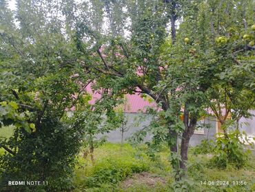 Bağ evlərinin kirayəsi: 100 kv. m, 3 otaqlı, Kombi — 11