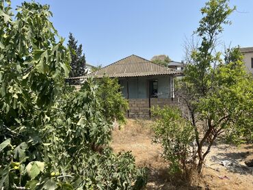 Torpaq sahələrinin satışı: 6 sot, Mülkiyyətçi, Kupça (Çıxarış) — 4