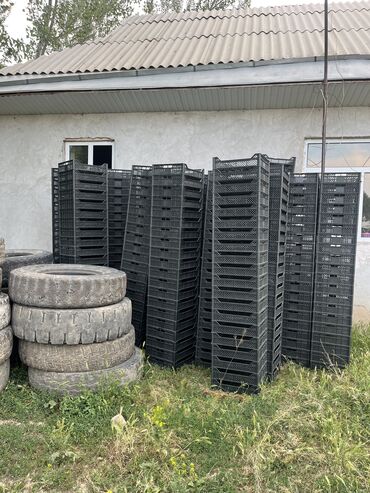 пицца каропка: Пластиковый Ящик, Новый
