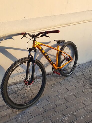 İdman velosipedləri: İşlənmiş Dağ velosipedi Trek, 29", sürətlərin sayı: 1, Ünvandan götürmə — 9