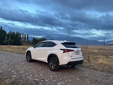 300 000: Lexus NX: 2020 г., 2 л, Автомат, Бензин, Кроссовер — 2