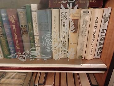 Книжные шкафы: Большая домашняя библиотека: собрание художественной и — 5