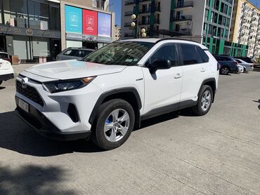 тойота автомобиль: Toyota RAV4: 2020 г., 2.5 л, Типтроник, Гибрид, Внедорожник