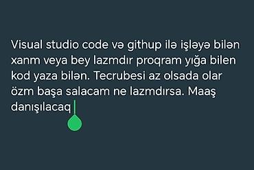 pameran it: İş elanıdır: Visual Studio Code və GitHub ilə işləyə bilən proqramçı — 1