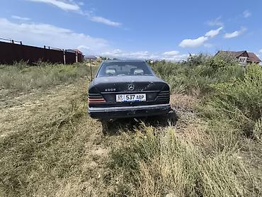 мер 124: Mercedes-Benz W124: 1988 г., Газ, Седан — 2