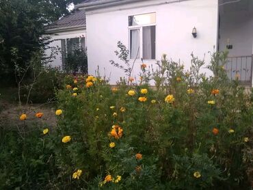 Günlük kirayə evlər: 120 kv. m, 3 otaqlı, İnternet, Telefon, Qaz -da lalafo.az — 18 Günlük kirayə evlər: 120 kv. m, 3 otaqlı, İnternet, Telefon, Qaz — 18