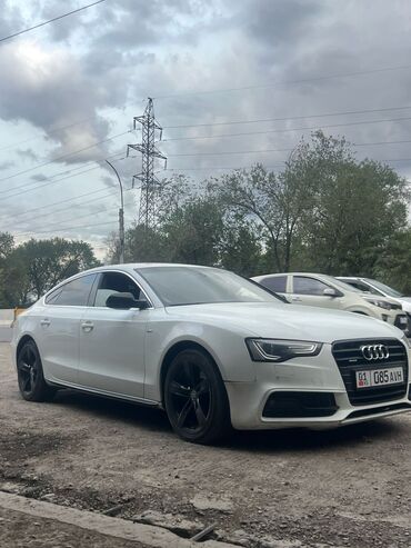 автомобиль ауди q5: Audi A5: 2013 г., 3 л, Автоматические, Бензин, Хэтчбэк