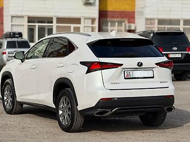 Lexus: Lexus NX: 2020 г., 2 л, Автомат, Бензин, Кроссовер — 10