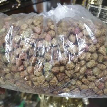 Dovşanlar: Dovşan yemləri 1-kilosu 2azn Dovşan balaları 5azn topdan Tək tək 9-azn — 21