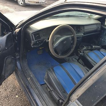 yto 504: Opel Vectra: 2000 г., 1.8 л, Механика, Бензин, Хэтчбэк — 4