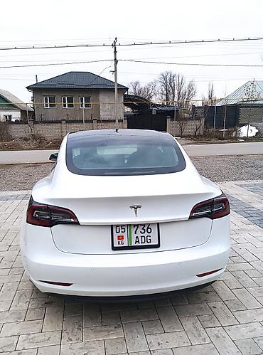 Tesla: Tesla Model 3: 2020 г., Электромобиль, Седан — 6