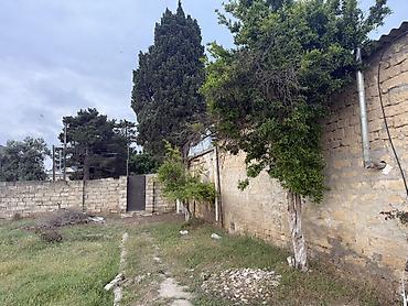 Torpaq: 17 sot, Tikinti, Kupça (Çıxarış) — 5