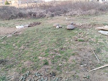 Torpaq sahələrinin satışı: 1 sot, Biznes üçün, Barter mümkündür, Kupça (Çıxarış) — 3