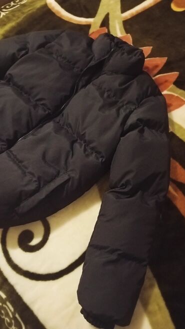 Kurtkalar: Kurtka, Bolonka, Qış, Lacoste, S — 4