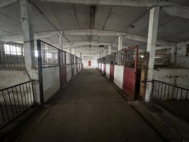 Другая коммерческая недвижимость: Сдаю Конюшню в перспективном районе для содержания лошадей и быков — 2