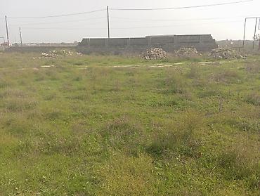 sut satisi: 6 sot, Kənd təsərrüfatı, Maklerlər narahat etməsin, Kupça (Çıxarış) — 1