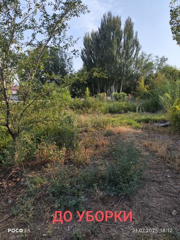 ночной одежда: Уборка территории, Уборка двора и сада