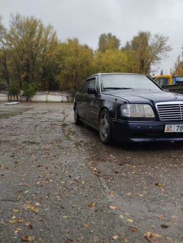 Mercedes-Benz: Mercedes-Benz 220: 1995 г., 2.2 л, Автомат, Газ, Седан