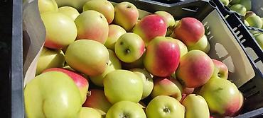 Продажа участков: 330 соток, Для сельского хозяйства, Договор дарения — 16