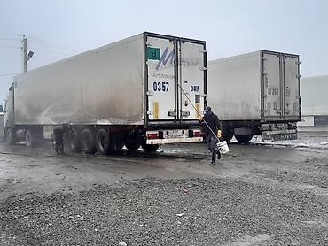 Тягачи: Тягач, DAF, 2008 г., Холодильник, рефрижератор — 10