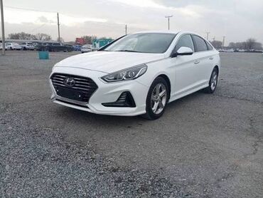 лобовые стекла саната: Hyundai Sonata: 2018 г., Газ, Седан