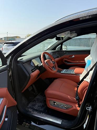 BYD: BYD : 2025 г., Электромобиль, Внедорожник — 8