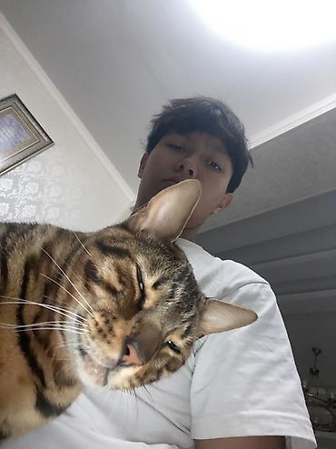 Kia: Kia BONGO: 2019 г., Дизель — 16