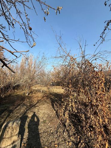 Продажа участков: 10 соток — 7