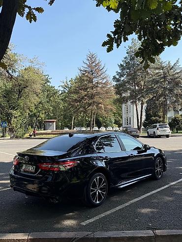 rav 4 2018: Toyota Camry: 2019 г., Автомат, Седан — 4