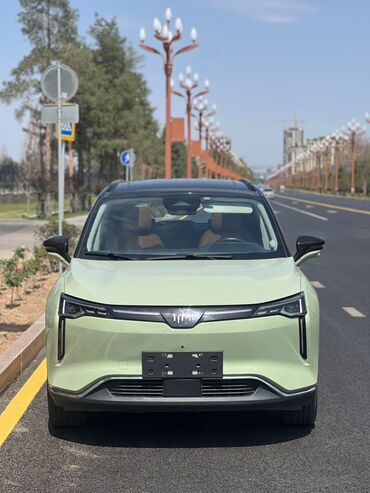 Weltmeister: Weltmeister W6, 2021 г., 170000 км, Передний, В наличии — 12