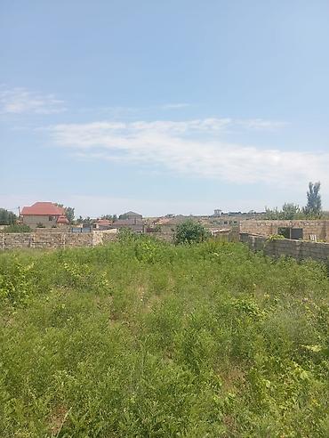 nardaranda torpaq: 13 sot, Tikinti, Mülkiyyətçi, Kupça (Çıxarış) — 1