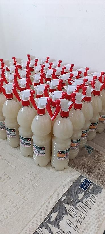 Дезинфекция, дезинсекция: Дезинфекция, дезинсекция, | Муравьи, Клопы, Блохи, | Офисы, Квартиры, Транспорт — 6