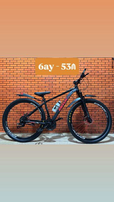 книги о домашних животных 3 класс: Yeni Şəhər velosipedi 29", sürətlərin sayı: 21, Ünvandan götürmə, Ödənişli çatdırılma