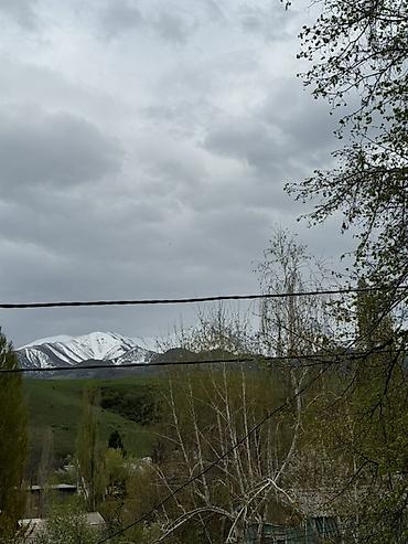 Долгосрочная аренда домов: 32 м², 2 комнаты — 12