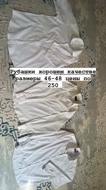 вельветовая рубашка: Көйнөк 5XL (EU 50), 3XL (EU 46), 4XL (EU 48)