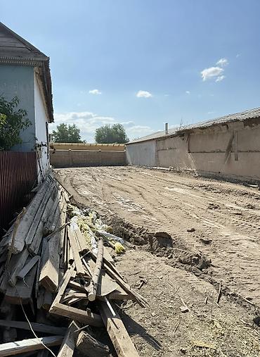 ысык куле: 5 соток, Бизнес үчүн, Кызыл китеп — 2