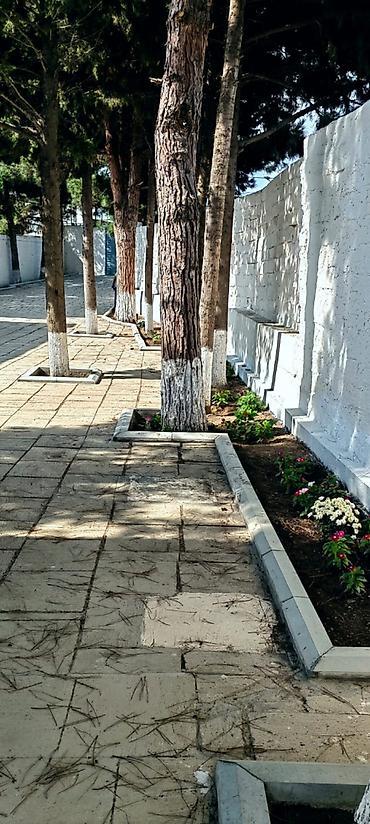 Maştağa qəs. 4 otaqlı, 135 kv. m, Kredit yoxdur, Yeni təmirli lalafo.az -da Maştağa qəs. 4 otaqlı, 135 kv. m, Kredit yoxdur, Yeni təmirli