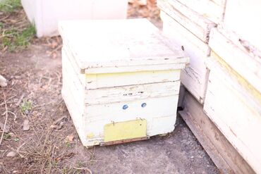 Товары и оборудование для с/х животных: Ульи около 45 комплектов. Рутовская система, корпусные, пригодны для — 10