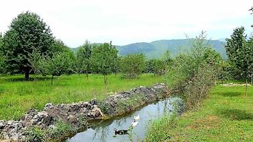 leyis baglari: 20 sot, Biznes üçün, Barter mümkündür, Kupça (Çıxarış) — 1