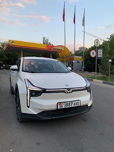 электр авто: BYD : 2022 г., Электромобиль, Кроссовер — 1